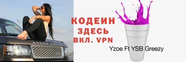 прущие грибы Абдулино
