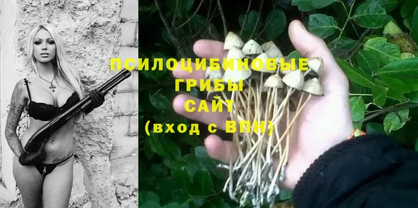прущие грибы Абдулино